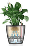 LECHUZA CLASSICO PREMIUM LS 21 - Plantenbak - met uitneembare binnenbak - met bewateringssysteem - ALL-IN-ONE set met LECHUZA-PON - antraciet metallic