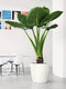 LECHUZA CLASSICO PREMIUM LS 21 - Plantenbak - met uitneembare binnenbak - met bewateringssysteem - ALL-IN-ONE set met LECHUZA-PON - wit hoogglans