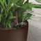 LECHUZA CLASSICO PREMIUM LS 28 - Plantenbak - met uitneembare binnenbak - met bewateringssysteem - ALL-IN-ONE set met LECHUZA-PON - taupe hoogglans