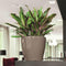 LECHUZA CLASSICO PREMIUM LS 28 - Plantenbak - met uitneembare binnenbak - met bewateringssysteem - ALL-IN-ONE set met LECHUZA-PON - taupe hoogglans