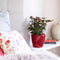 LECHUZA CLASSICO PREMIUM LS 35 - Plantenbak - met uitneembare binnenbak - met bewateringssysteem - ALL-IN-ONE set met LECHUZA-PON - scharlakenrood hoogglans