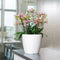 LECHUZA CLASSICO PREMIUM LS 35 - Plantenbak - met uitneembare binnenbak - met bewateringssysteem - ALL-IN-ONE set met LECHUZA-PON - zilver metallic