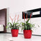 LECHUZA CLASSICO PREMIUM LS 43 - Plantenbak - met uitneembare binnenbak - met bewateringssysteem - ALL-IN-ONE set met LECHUZA-PON - zwart hoogglans