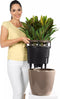 LECHUZA CLASSICO PREMIUM LS 43 - Plantenbak - met uitneembare binnenbak - met bewateringssysteem - ALL-IN-ONE set met LECHUZA-PON - zwart hoogglans