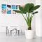 LECHUZA CLASSICO PREMIUM LS 50 - Plantenbak - met uitneembare binnenbak - met bewateringssysteem - ALL-IN-ONE set met LECHUZA-PON - zwart hoogglans