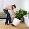 LECHUZA CLASSICO PREMIUM LS 50 - Plantenbak - met uitneembare binnenbak - met bewateringssysteem - ALL-IN-ONE set met LECHUZA-PON - zilver metallic
