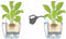 LECHUZA CLASSICO PREMIUM LS 50 - Plantenbak - met uitneembare binnenbak - met bewateringssysteem - ALL-IN-ONE set met LECHUZA-PON - zwart hoogglans