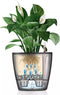 LECHUZA CLASSICO PREMIUM LS 50 - Plantenbak - met uitneembare binnenbak - met bewateringssysteem - ALL-IN-ONE set met LECHUZA-PON - zilver metallic