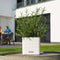 LECHUZA CUBE Color 14 - Plantenbak - met uitneembare binnenbak - met bewateringssysteem - ALL-IN-ONE set - wit