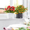 LECHUZA CUBE Color 16 - Plantenbak - met uitneembare binnenbak - met bewateringssysteem - ALL-IN-ONE set - wit