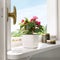LECHUZA CUBE Color 16 - Plantenbak - met uitneembare binnenbak - met bewateringssysteem - ALL-IN-ONE set - zandbruin
