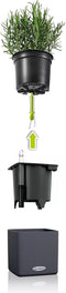 LECHUZA CUBE Color GREEN WALL HOME KIT - Plantenbakken - met uitneembare binnenbak - met bewateringssysteem - ALL-IN-ONE set - wit