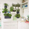 LECHUZA CUBE Color GREEN WALL HOME KIT - Plantenbakken - met uitneembare binnenbak - met bewateringssysteem - ALL-IN-ONE set - leisteengrijs