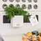 LECHUZA CUBE Color GREEN WALL HOME KIT - Plantenbakken - met uitneembare binnenbak - met bewateringssysteem - ALL-IN-ONE set - wit