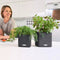 LECHUZA CUBE Color Triple - Plantenbak - met uitneembare binnenbak - met bewateringssysteem - ALL-IN-ONE set - leisteengrijs