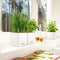 LECHUZA CUBE Color Triple - Plantenbak - met uitneembare binnenbak - met bewateringssysteem - ALL-IN-ONE set - zandbruin