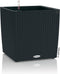 LECHUZA CUBE Cottage 30 - Plantenbak - met uitneembare binnenbak - met bewateringssysteem - ALL-IN-ONE set met LECHUZA-PON - grafietzwart