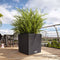 LECHUZA CUBE COTTAGE 30 - Plantenbak - met uitneembare binnenbak - met bewateringssysteem - ALL-IN-ONE set met LECHUZA-PON - wit