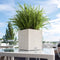 LECHUZA CUBE Cottage 30 - Plantenbak - met uitneembare binnenbak - met bewateringssysteem - ALL-IN-ONE set met LECHUZA-PON - graniet