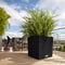 LECHUZA CUBE Cottage 30 - Plantenbak - met uitneembare binnenbak - met bewateringssysteem - ALL-IN-ONE set met LECHUZA-PON - zandbruin