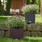 LECHUZA CUBE Cottage 30 - Plantenbak - met uitneembare binnenbak - met bewateringssysteem - ALL-IN-ONE set met LECHUZA-PON - graniet