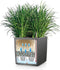 LECHUZA CUBE COTTAGE 40 - Plantenbak - met uitneembare binnenbak - met bewateringssysteem - ALL-IN-ONE set met LECHUZA-PON - mokka