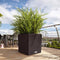 LECHUZA CUBE Cottage 50 - Plantenbak - met uitneembare binnenbak - met bewateringssysteem - ALL-IN-ONE set met LECHUZA-PON - mokka