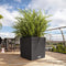 LECHUZA CUBE COTTAGE 50 - Plantenbak - met uitneembare binnenbak - met bewateringssysteem - ALL-IN-ONE set met LECHUZA-PON - graniet