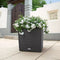 LECHUZA CUBE Cottage 50 - Plantenbak - met uitneembare binnenbak - met bewateringssysteem - ALL-IN-ONE set met LECHUZA-PON - grafietzwart