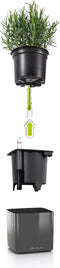 LECHUZA CUBE Glossy 14 - Plantenbak - met uitneembare binnenbak - met bewateringssysteem - ALL-IN-ONE set met LECHUZA-PON - antraciet hoogglans