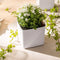LECHUZA CUBE Glossy 14 - Plantenbak - met uitneembare binnenbak - met bewateringssysteem - ALL-IN-ONE set - WINTEREDITION - smoky diamond hoogglans