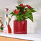 LECHUZA CUBE Glossy 14 - Plantenbak - met uitneembare binnenbak - met bewateringssysteem - ALL-IN-ONE set - wit hoogglans