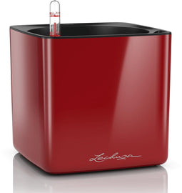 LECHUZA CUBE Glossy 16 - Plantenbak - met uitneembare binnenbak - met bewateringssysteem - ALL-IN-ONE set met LECHUZA-PON - scharlakenrood hoogglans