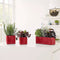 LECHUZA CUBE Glossy 16 - Plantenbak - met uitneembare binnenbak - met bewateringssysteem - ALL-IN-ONE set - antraciet hoogglans