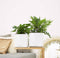 LECHUZA CUBE Glossy 16 - Plantenbak - met uitneembare binnenbak - met bewateringssysteem - ALL-IN-ONE set - wit hoogglans