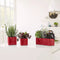 LECHUZA CUBE Glossy Triple - Plantenbakken - met uitneembare binnenbak - met bewateringssysteem - ALL-IN-ONE set - scharlakenrood hoogglans