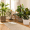 LECHUZA CUBE Premium 30 - Plantenbak - met uitneembare binnenbak - met bewateringssysteem - ALL-IN-ONE set met LECHUZA-PON - antraciet metallic