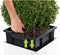 LECHUZA CUBE Premium 30 - Plantenbak - met uitneembare binnenbak - met bewateringssysteem - ALL-IN-ONE set met LECHUZA-PON - wit hoogglans