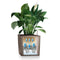 LECHUZA CUBE Premium 30 - Plantenbak - met uitneembare binnenbak - met bewateringssysteem - ALL-IN-ONE set met LECHUZA-PON - wit hoogglans