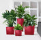 LECHUZA CUBE Premium 30 - Plantenbak - met uitneembare binnenbak - met bewateringssysteem - ALL-IN-ONE set met LECHUZA-PON - espresso metallic - LIMITED EDITION
