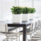 LECHUZA CUBE Premium 30 - Plantenbak - met uitneembare binnenbak - met bewateringssysteem - ALL-IN-ONE set met LECHUZA-PON - wit hoogglans
