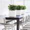 LECHUZA CUBE Premium 30 - Plantenbak - met uitneembare binnenbak - met bewateringssysteem - ALL-IN-ONE set met LECHUZA-PON - antraciet metallic