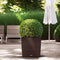 LECHUZA CUBE Premium 30 - Plantenbak - met uitneembare binnenbak - met bewateringssysteem - ALL-IN-ONE set met LECHUZA-PON - taupe hoogglans