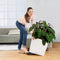 LECHUZA CUBE Premium 30 - Plantenbak - met uitneembare binnenbak - met bewateringssysteem - ALL-IN-ONE set met LECHUZA-PON - taupe hoogglans