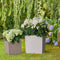 LECHUZA CUBE Premium 40 - Plantenbak - met uitneembare binnenbak - met bewateringssysteem - ALL-IN-ONE set met LECHUZA-PON - wit hoogglans