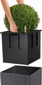 LECHUZA CUBE Premium 40 - Plantenbak - met uitneembare binnenbak - met bewateringssysteem - ALL-IN-ONE set met LECHUZA-PON - taupe hoogglans