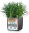LECHUZA CUBE Premium 40 - Plantenbak - met uitneembare binnenbak - met bewateringssysteem - ALL-IN-ONE set met LECHUZA-PON - wit hoogglans