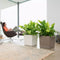 LECHUZA CUBE Premium 40 - Plantenbak - met uitneembare binnenbak - met bewateringssysteem - ALL-IN-ONE set met LECHUZA-PON - zilver metallic