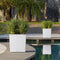 LECHUZA CUBE Premium 40 - Plantenbak - met uitneembare binnenbak - met bewateringssysteem - ALL-IN-ONE set met LECHUZA-PON - taupe hoogglans