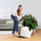 LECHUZA CUBE Premium 50 - Plantenbak - met uitneembare binnenbak - met bewateringssysteem - ALL-IN-ONE set met LECHUZA-PON - antraciet metallic